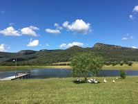Geese under a tree, next to the River Flats Estate dam with a jetty, surrounded by a mountain range and a big blue sky